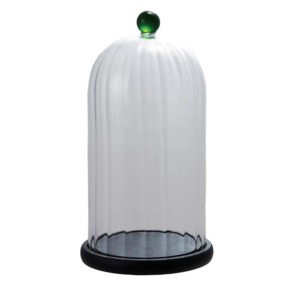 Glass Cloche with Wood Base & Handle