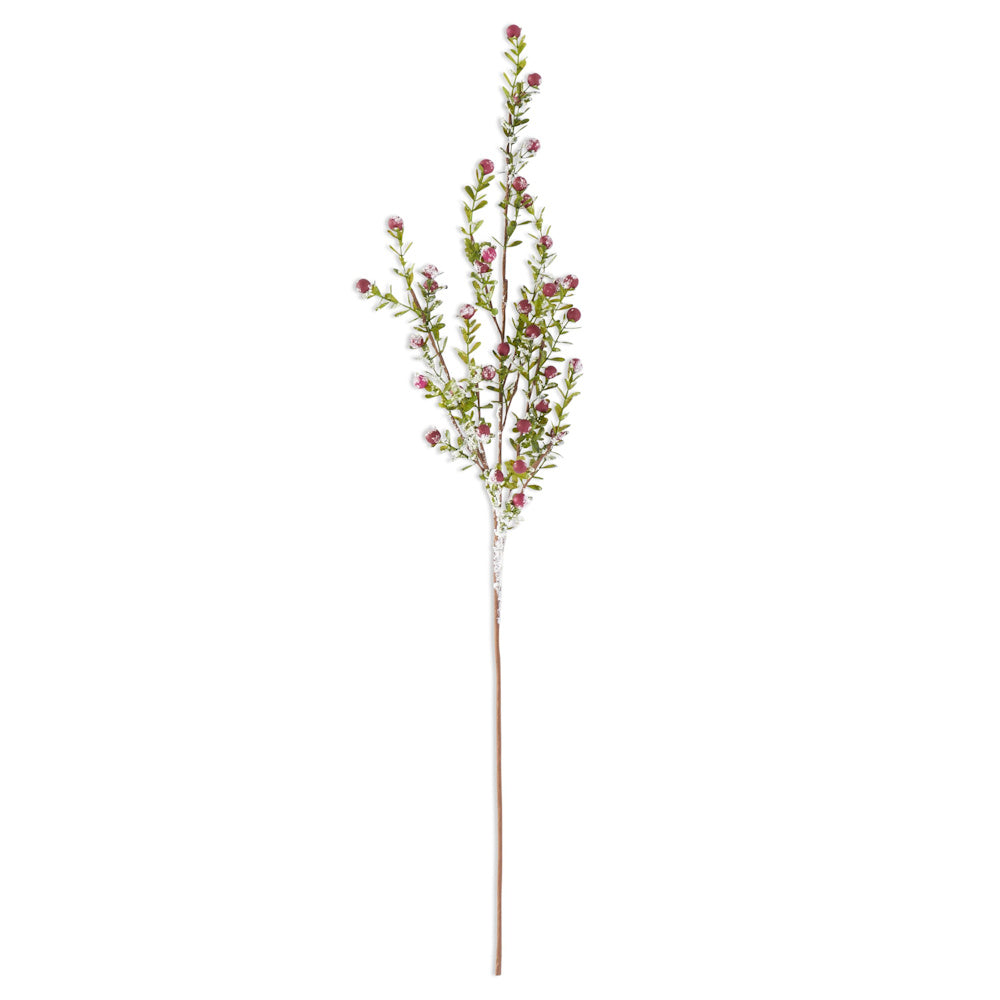 A glittered snowy red berry and leaf stem.