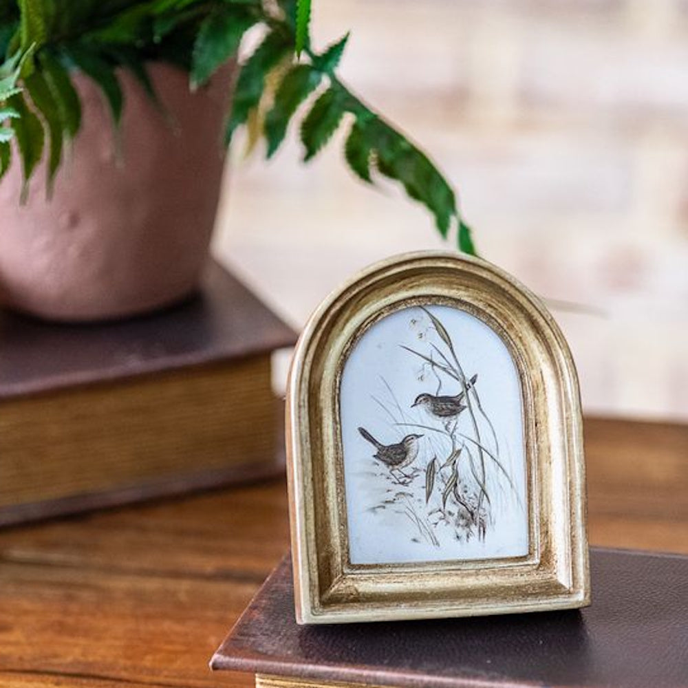 Small arched gold picture frame featuring a bird sketch, displayed on vintage books with a green plant in the background.