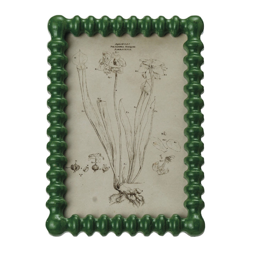 A green bobbins-style picture frame holding a vintage botanical illustration of a pitcher plant on aged paper.