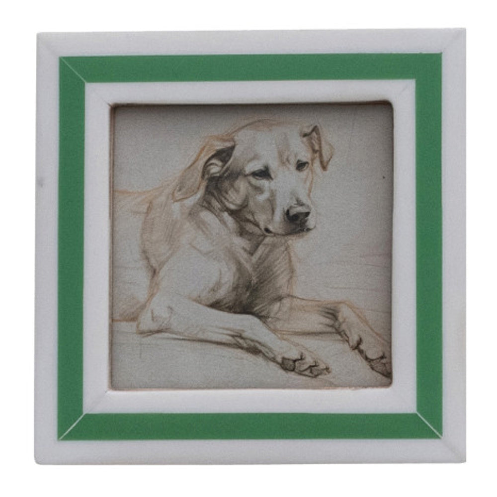 Square white frame with a green stripe holding a sketch of a resting dog.