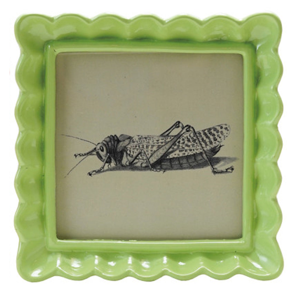 Square lime green scalloped resin picture frame displaying a vintage black and white grasshopper sketch.