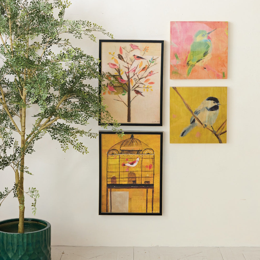 Four framed bird paintings arranged on a white wall next to a large potted green plant.
