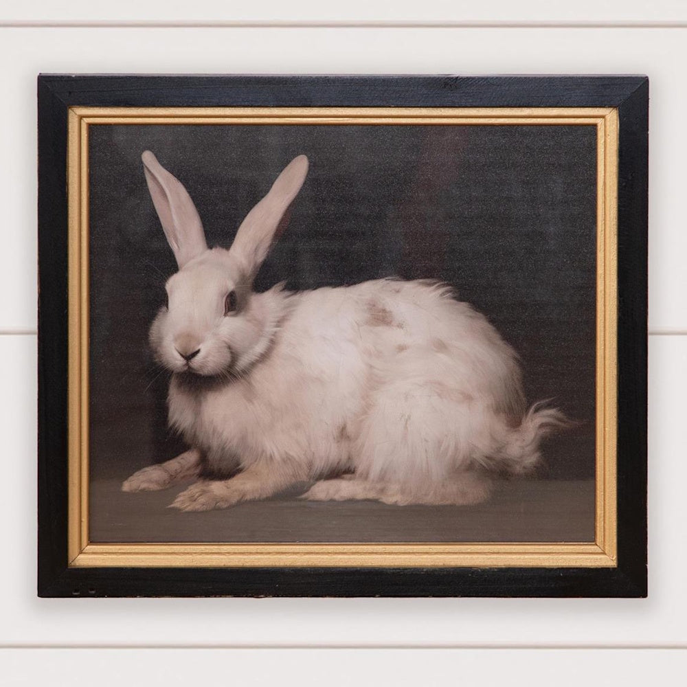 A framed vintage-style oil painting of a fluffy white rabbit with long ears against a dark background.