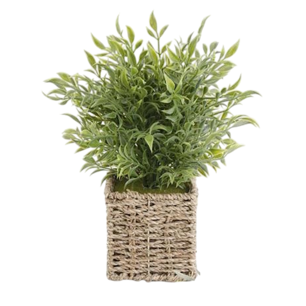 Herbs in Square Woven Basket — alternate view 2