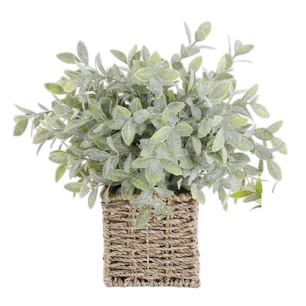Herbs in Square Woven Basket — alternate view 3