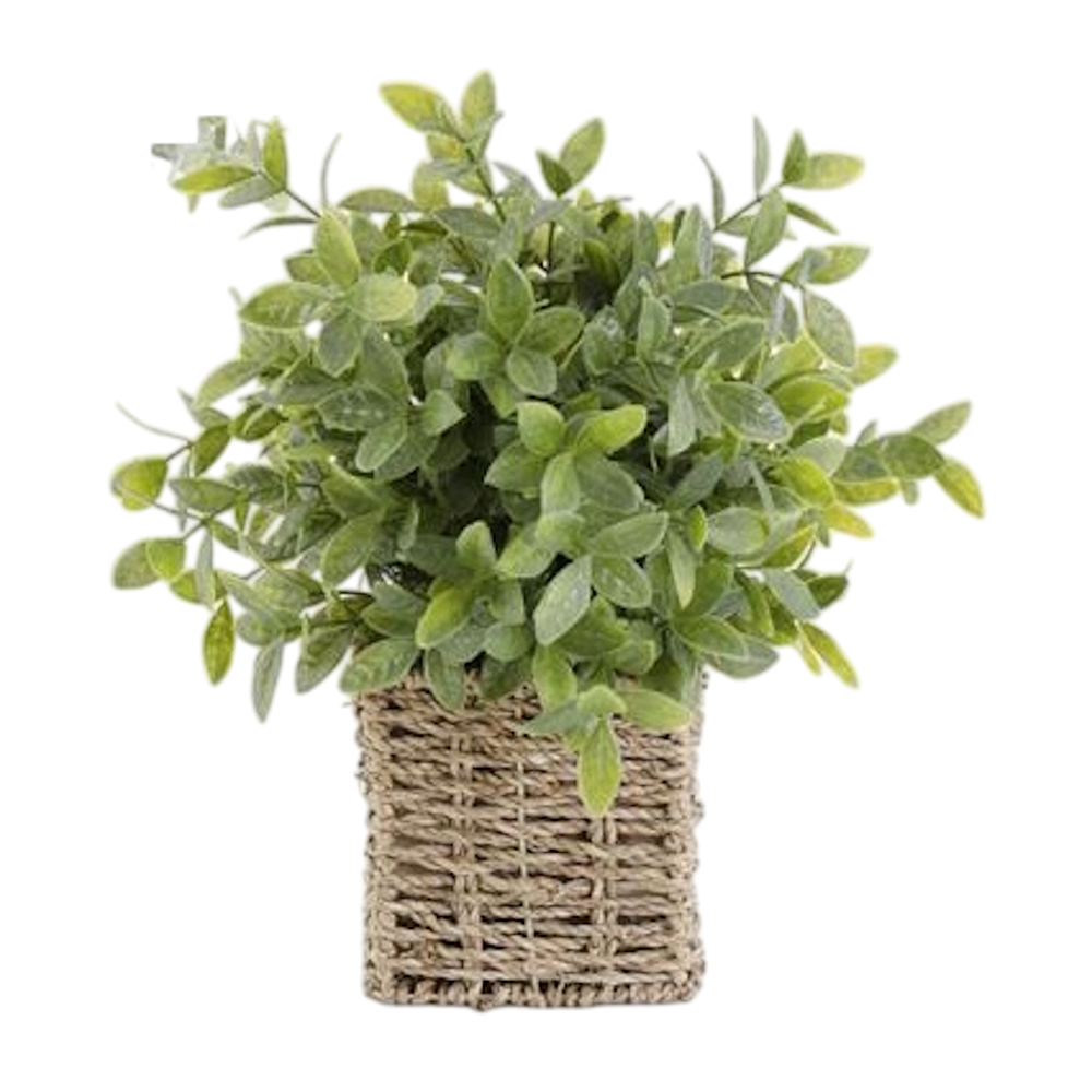 Herbs in Square Woven Basket — alternate view 4