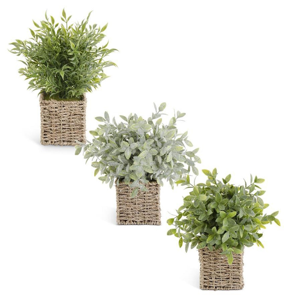 Herbs in Square Woven Basket