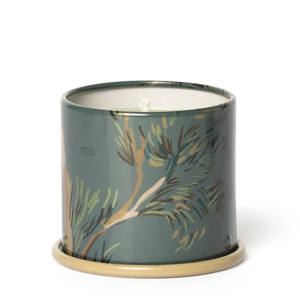 Unlit candle in a green tin featuring a pine branch design, sitting on a beige base against a white backdrop.