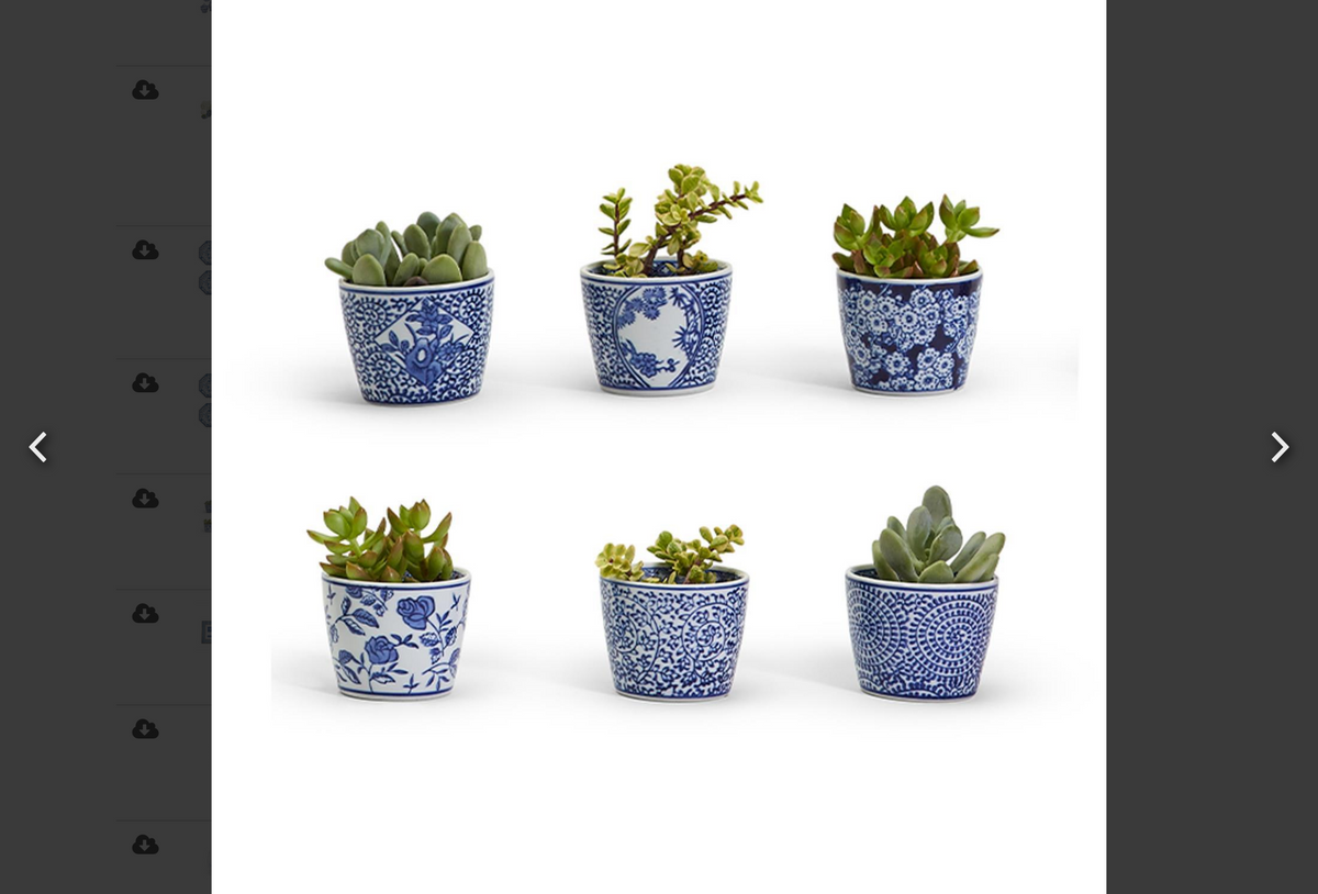 Canton Collection Cachepot- 6 Styles
