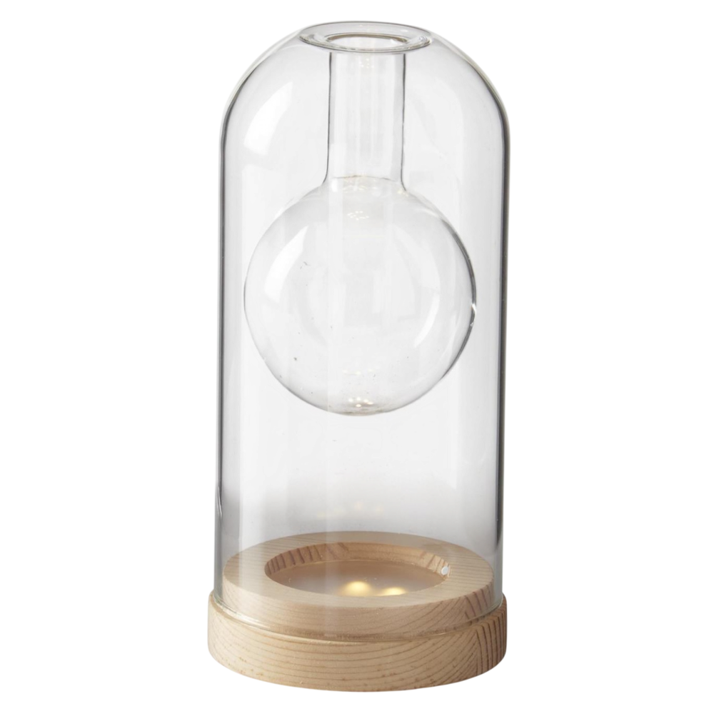 Clear glass cloche bud vase with a light wood LED base against a white background.