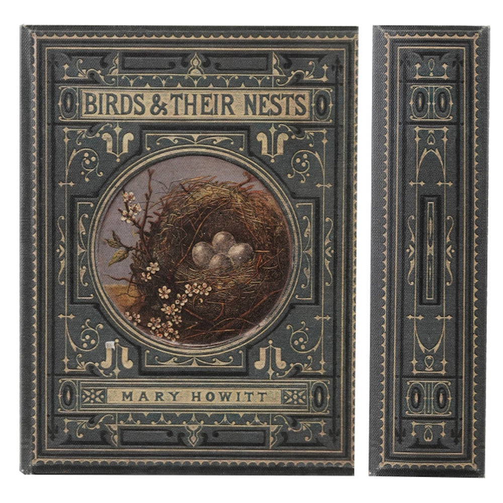An antique-style book cover and spine titled "Birds & Their Nests" with an illustration of a nest and eggs.