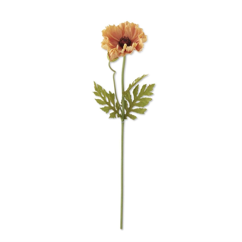A single peach-colored poppy flower with a green stem and leaves on a white background.