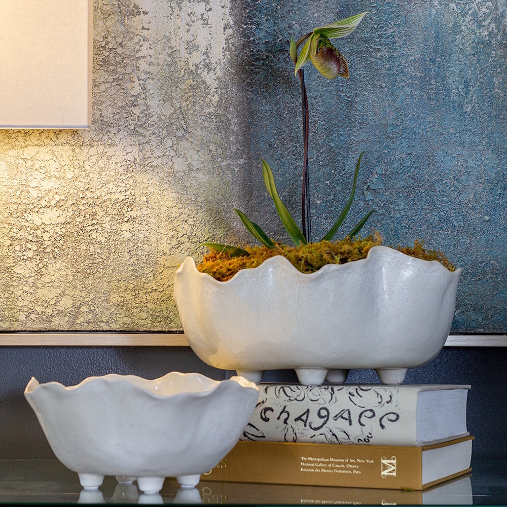 Two white ceramic Magnus bowls with scalloped edges and footed bases, one used as an orchid planter on a stack of books.