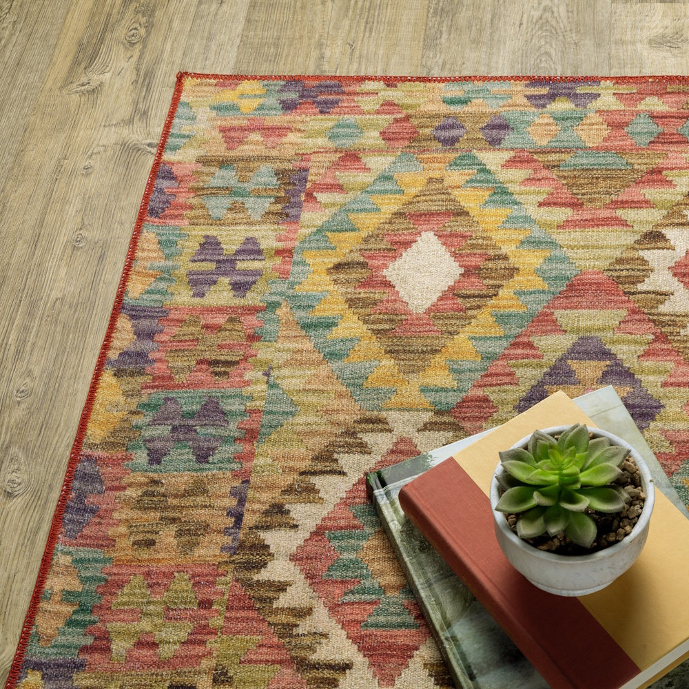A colorful geometric patterned area rug on a wood floor with a potted succulent sitting on books.