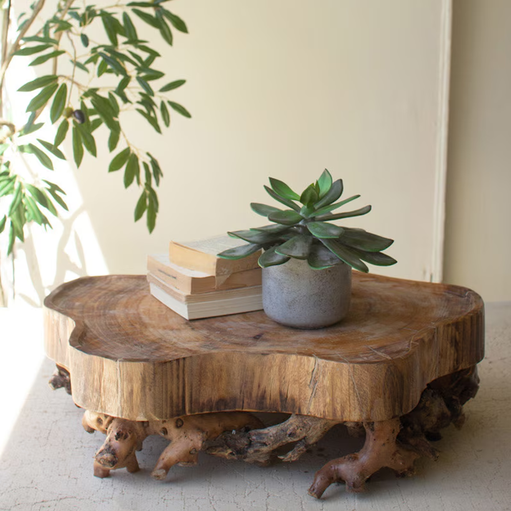 Natural wood slab tray on a gnarled root base with potted succulent and books.