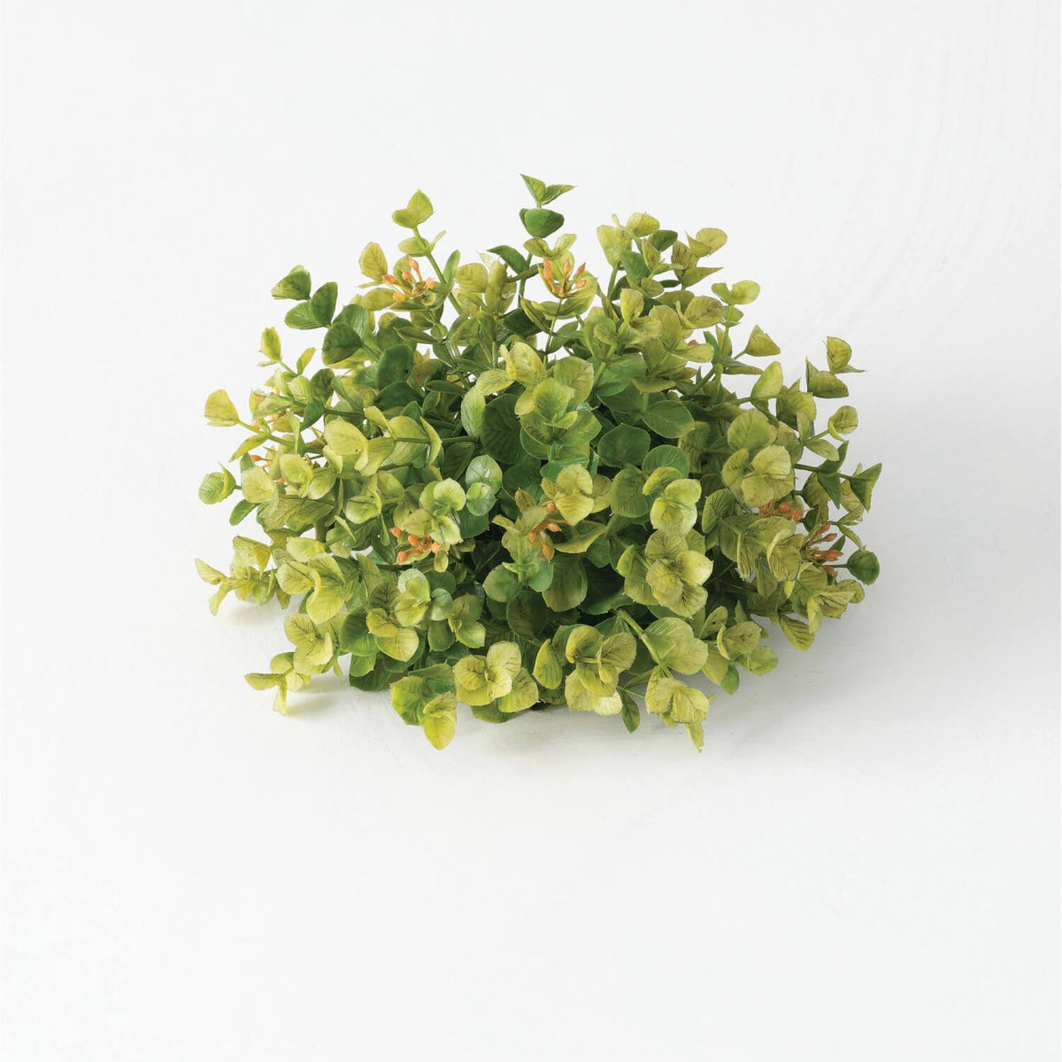 New England Boxwood 1/2 Orb — alternate view 3