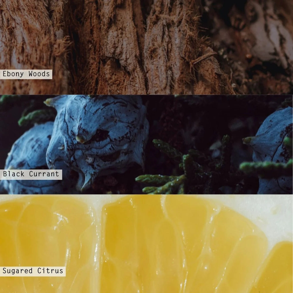 Three-panel collage highlighting scent notes: tree bark for Ebony Woods, dark berries for Black Currant, and citrus slice.