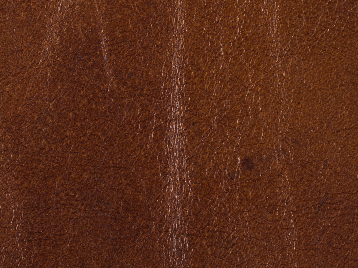 Exton Stationary Sofa — alternate view 2