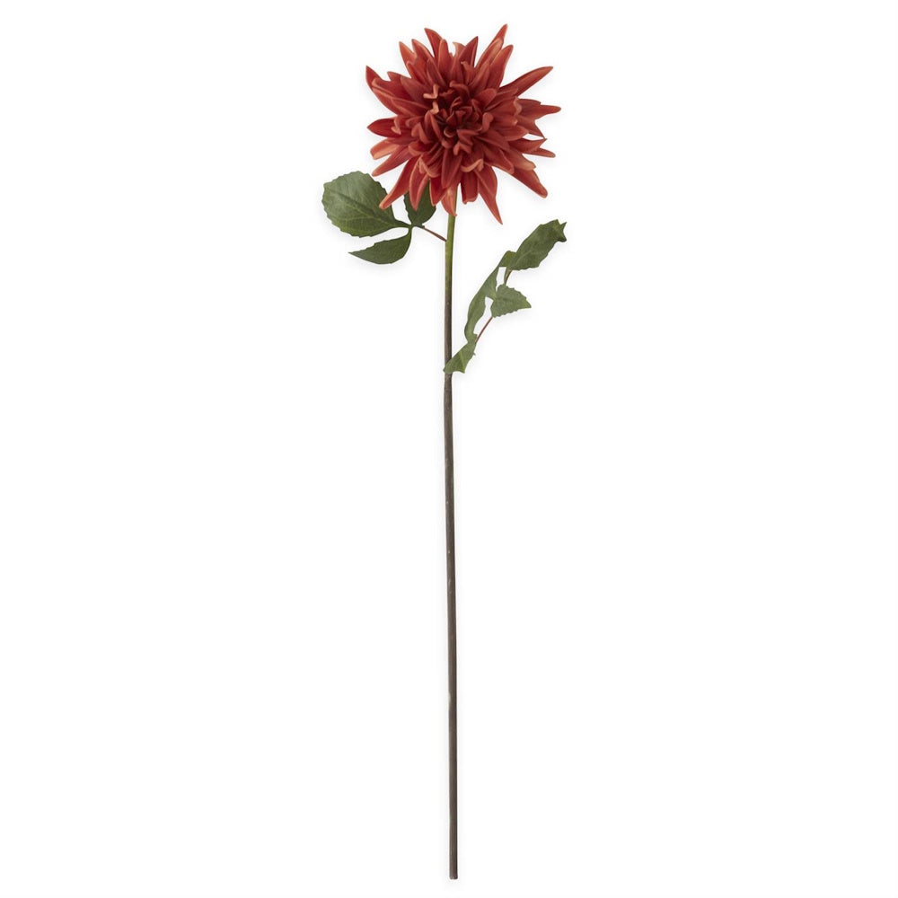 A vibrant rust-orange dahlia stem with green leaves on a long, slender stalk against a white background.
