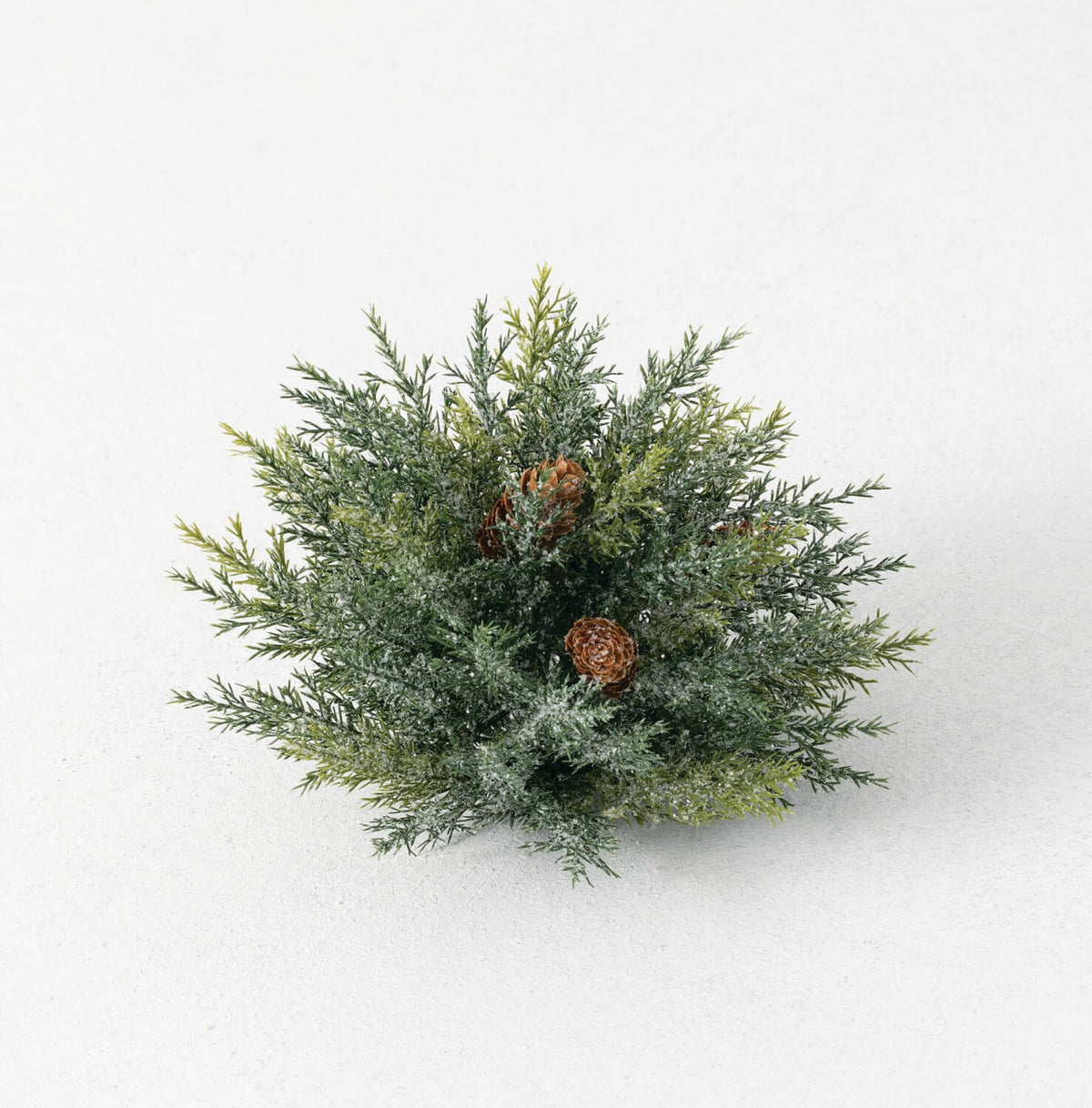 Frosted Arborvitae Half Orb