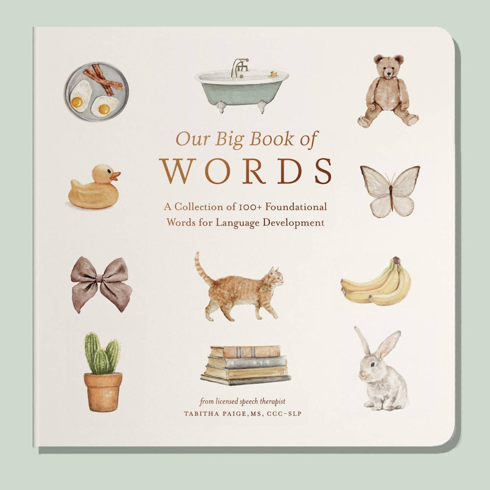 "Our Big Book of Words" board book cover featuring watercolor illustrations of a cat, teddy bear, and common objects.