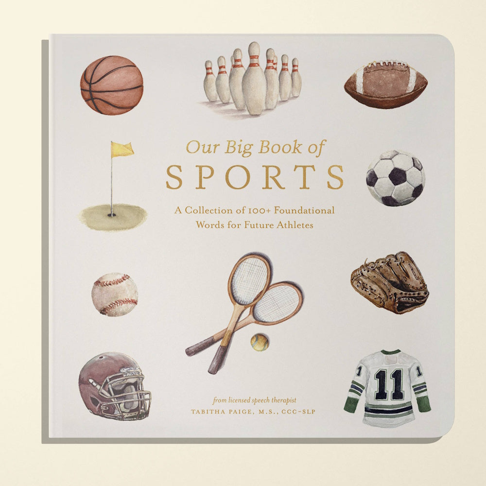 Our Big Book of Sports board book cover by Tabitha Paige featuring watercolor illustrations of various sports equipment.