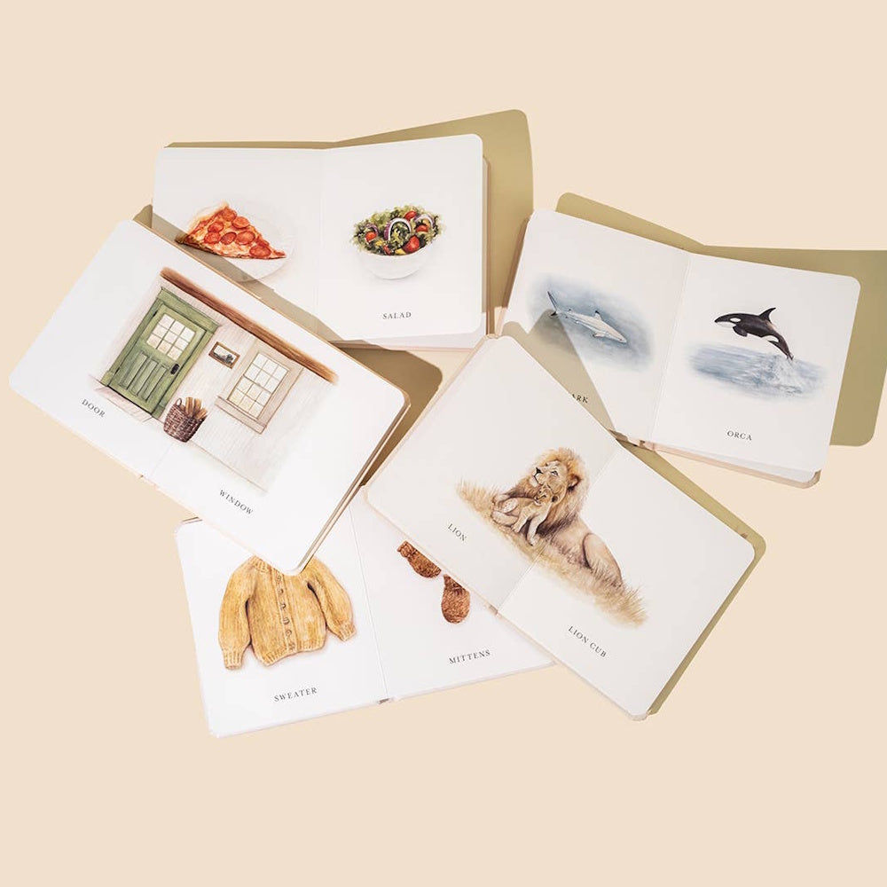 An open board book box set featuring illustrated pages of food, animals, clothing, and home items on a beige background.