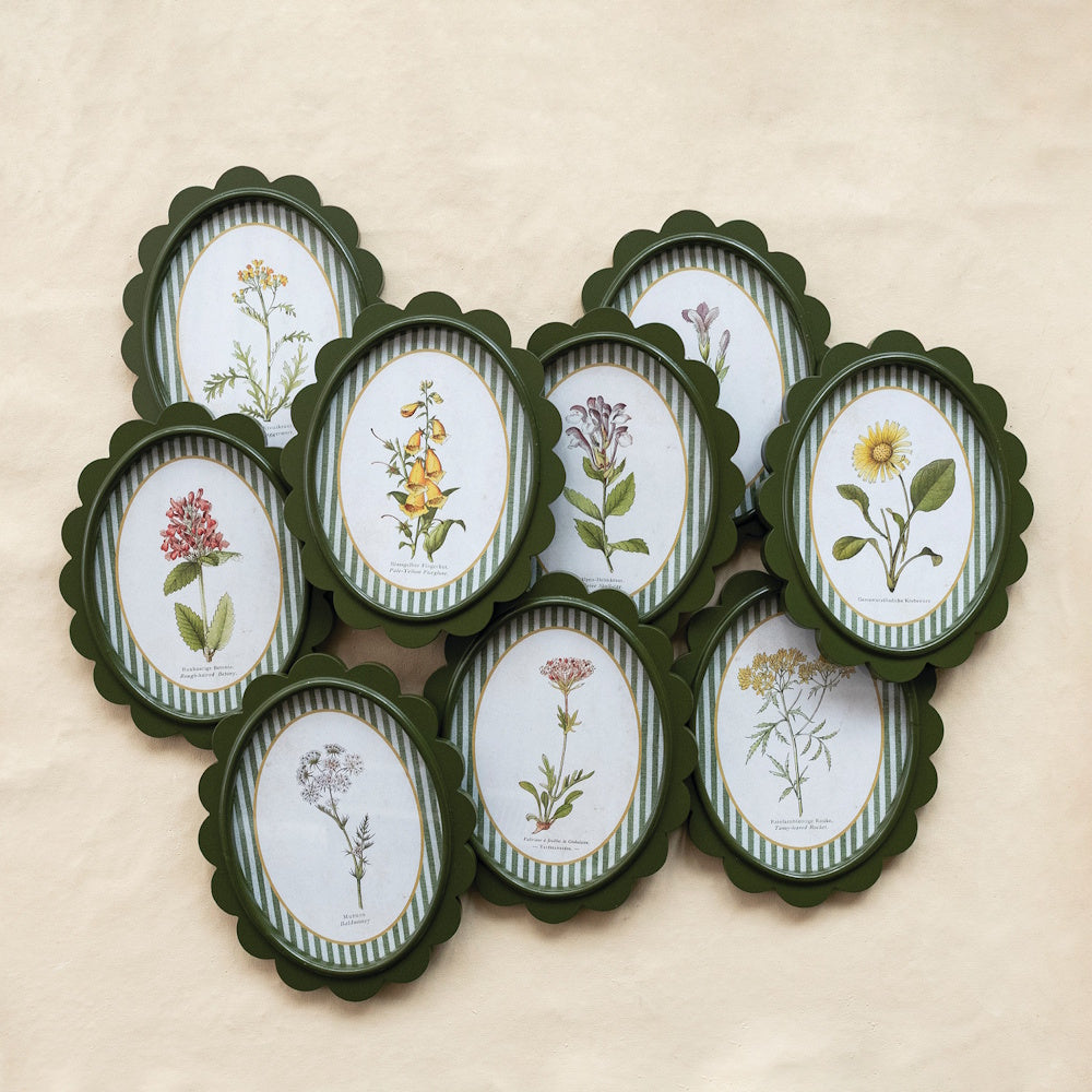 Green scalloped oval frames with botanical flower illustrations and striped mats arranged on a neutral wall.