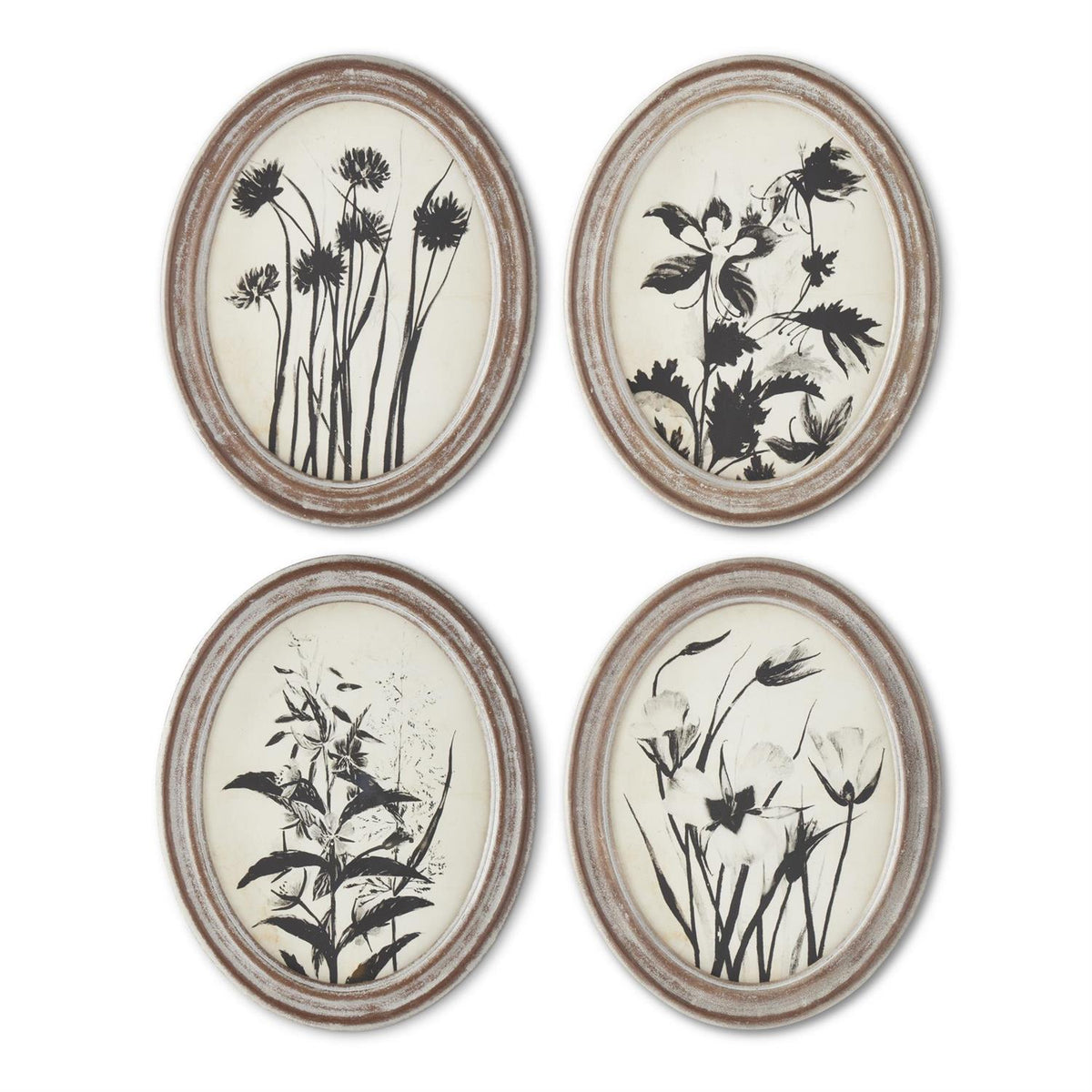 Wood Framed Oval Black & White Botanical Print