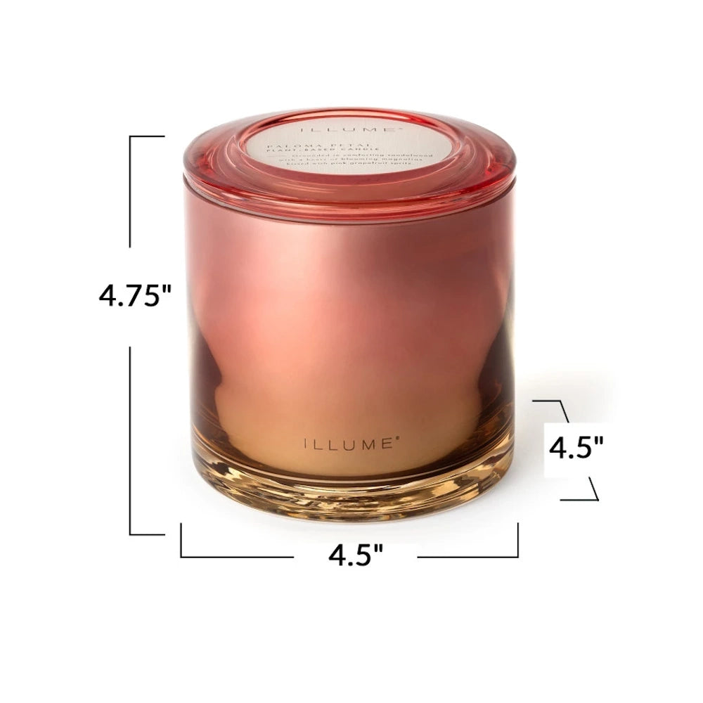 Paloma Petal Statement Glass Candle — alternate view 7