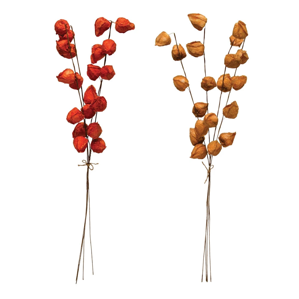 Two bunches of dried Chinese lantern pods in orange and tan hues against a plain white background.
