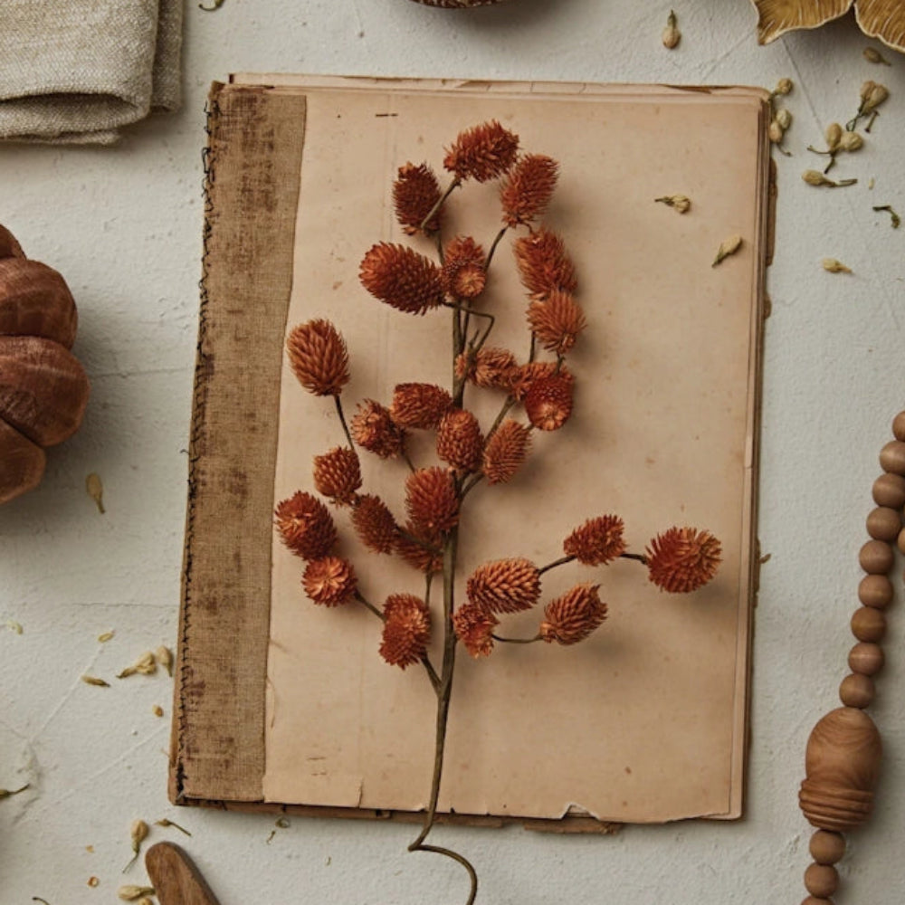 Flat lay of a dried orange flower stem on an old book, surrounded by rustic autumn decor.