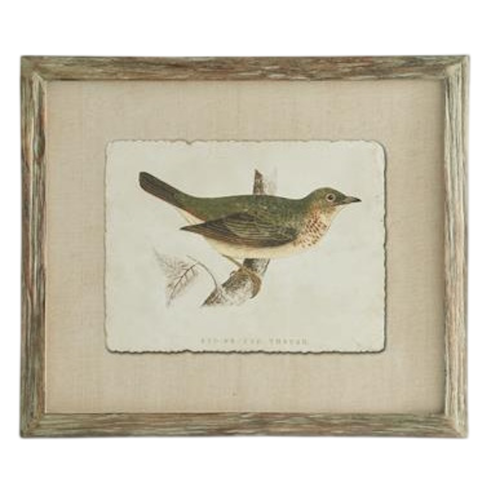 Vintage bird art on deckled paper in a rustic wood frame with a linen mat.