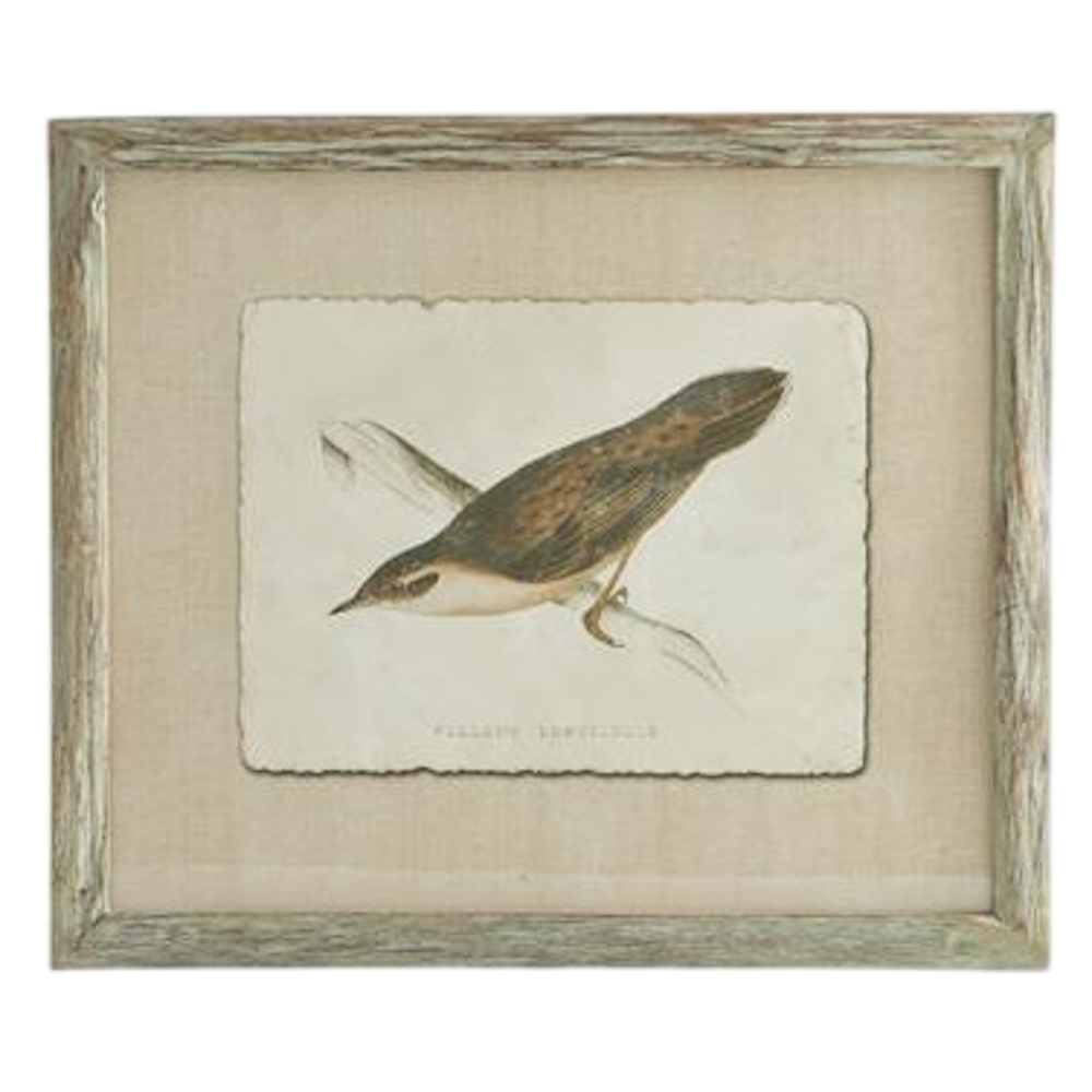 Vintage-style framed bird print with a deckled edge on a linen mat featuring a brown and white sparrow illustration.