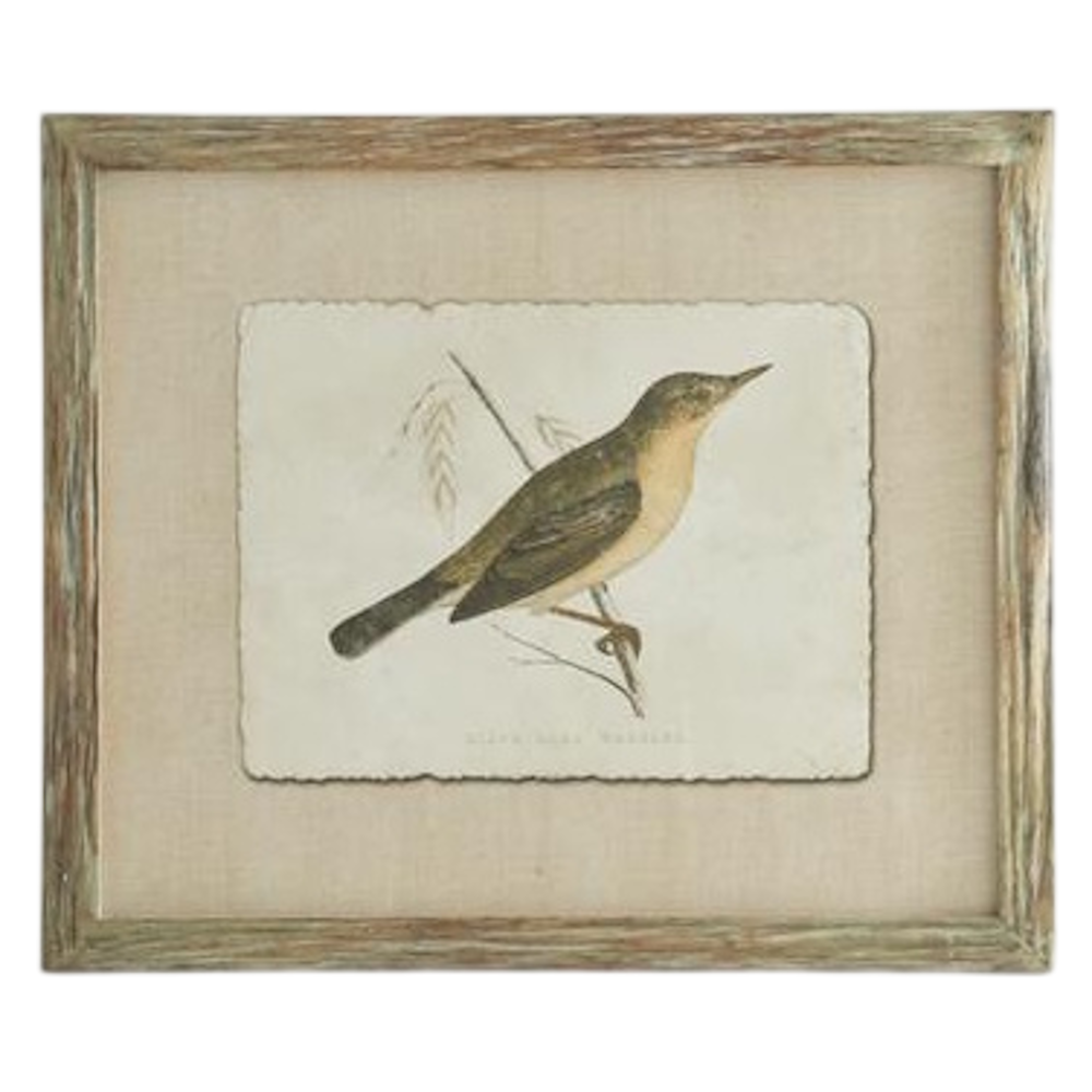 Vintage bird illustration on deckled edge paper with a linen mat and rustic wood frame.