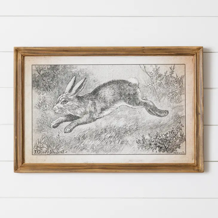 Leaping Rabbit Framed Print