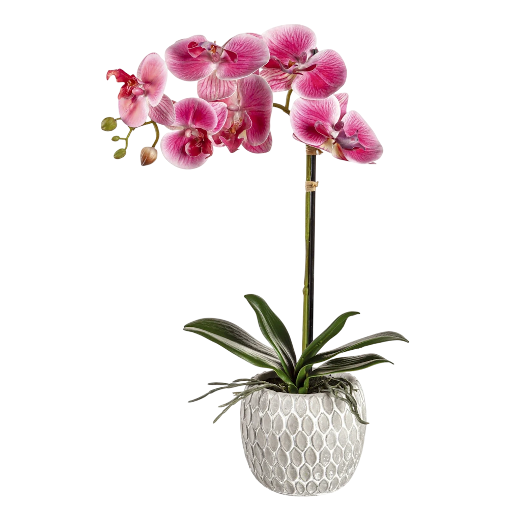 Front view of the pink artificial orchid in a grey ceramic pot.
