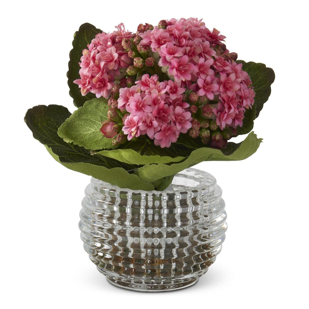 Potted pink Kalanchoe flowers in a small decorative ribbed glass vase for home or office tabletop decor.