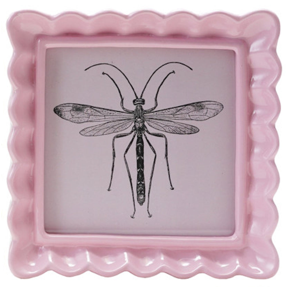 Square pink ruffled resin picture frame featuring a vintage black and white insect sketch.