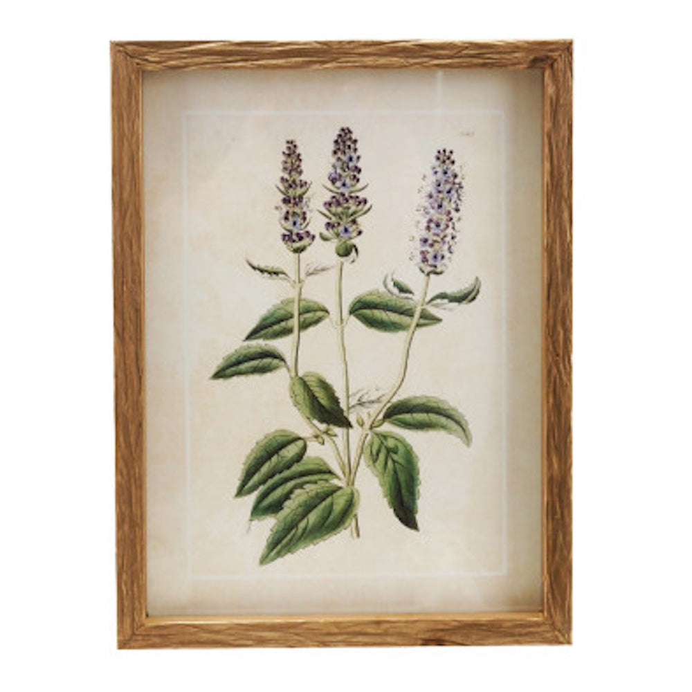 Vintage botanical wall art featuring purple flowers in a natural wood frame.