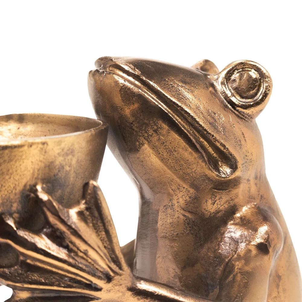 Close-up of a bronze frog figurine with a textured finish holding a cup-shaped holder.
