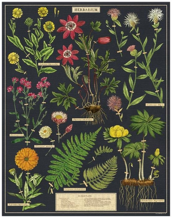 Herbarium Vintage Puzzle — alternate view 5