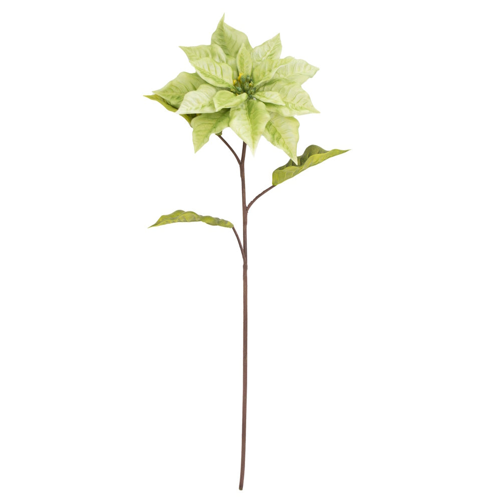 Single realistic light green artificial poinsettia stem with green leaves on a plain white background.
