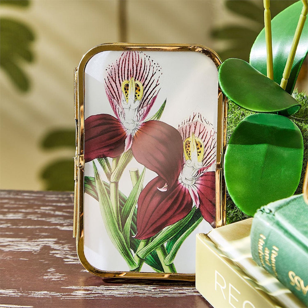 Mini rectangular picture frame with antique gold trim displaying a botanical orchid illustration.