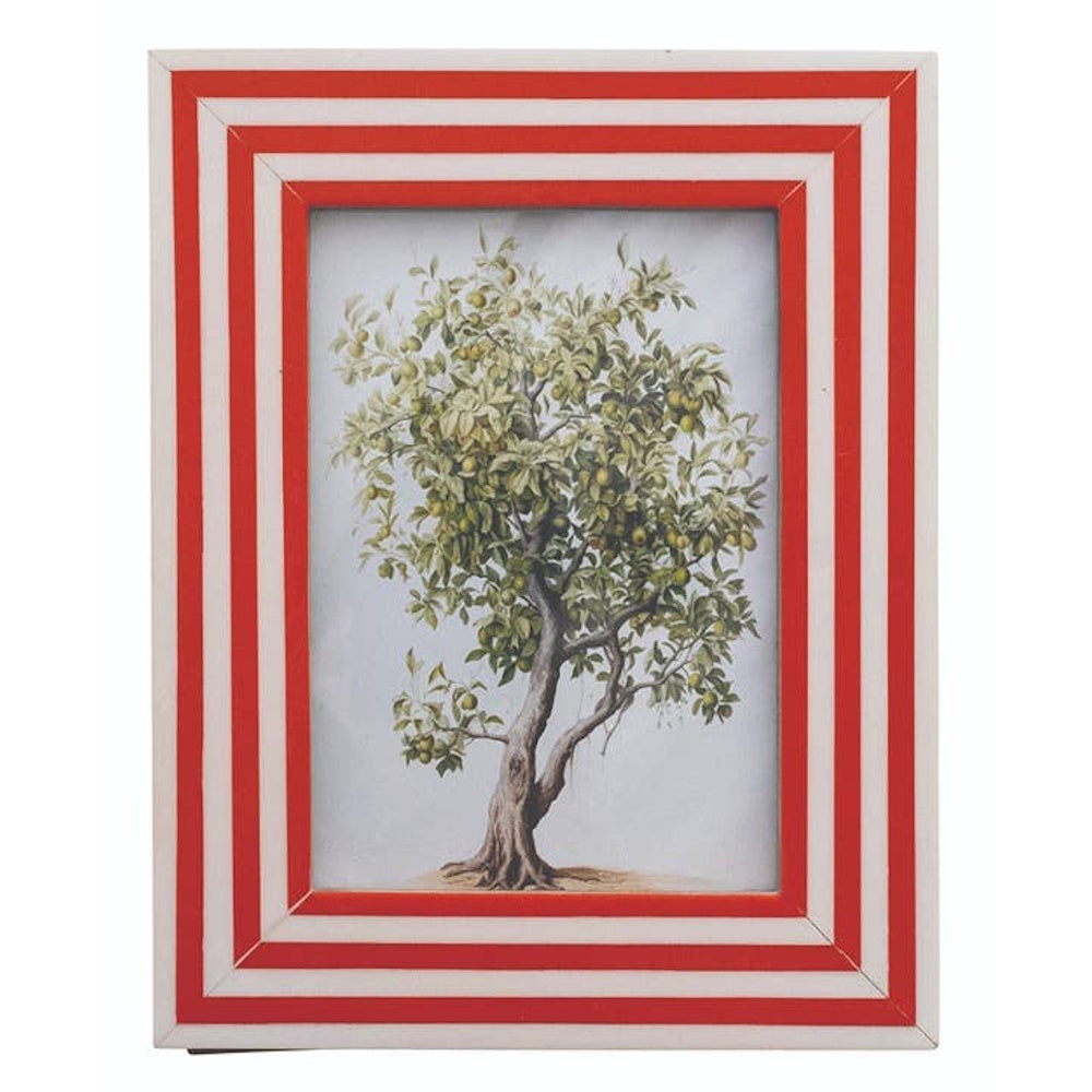Rectangular red and white striped photo frame featuring a botanical illustration of a fruit tree.