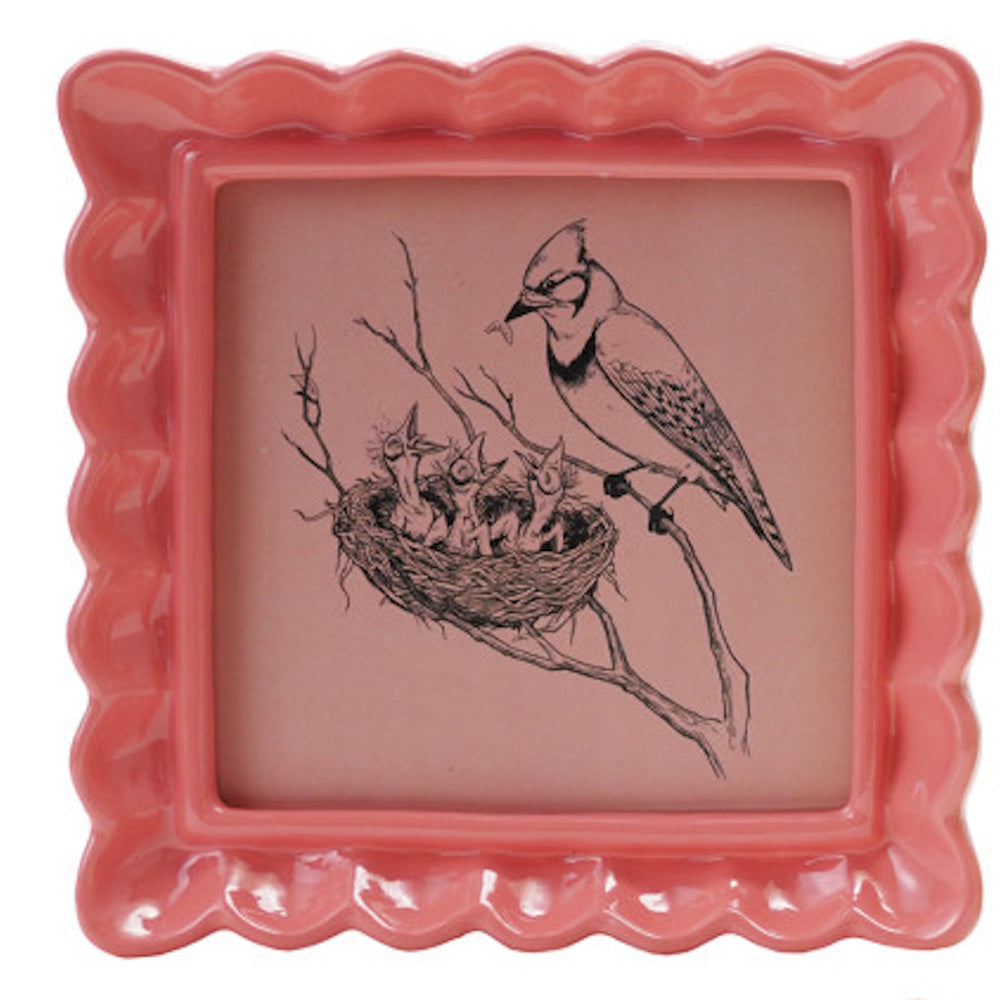 Square coral pink ruffled picture frame featuring a black and white sketch of a bird feeding its nestlings.