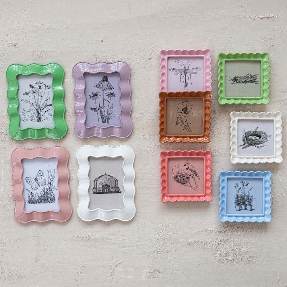 Collection of colorful, wavy ruffled picture frames displaying botanical and insect sketches on a wall.