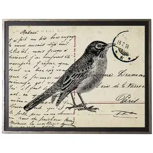Bird Two On Calligraphy Postcard Background