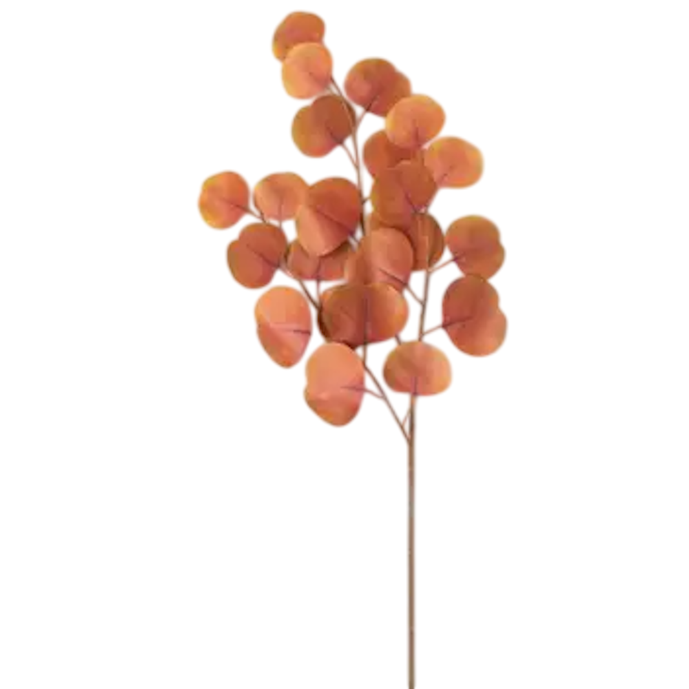 An artificial rust-colored silver dollar eucalyptus stem with round autumn leaves on a white background.
